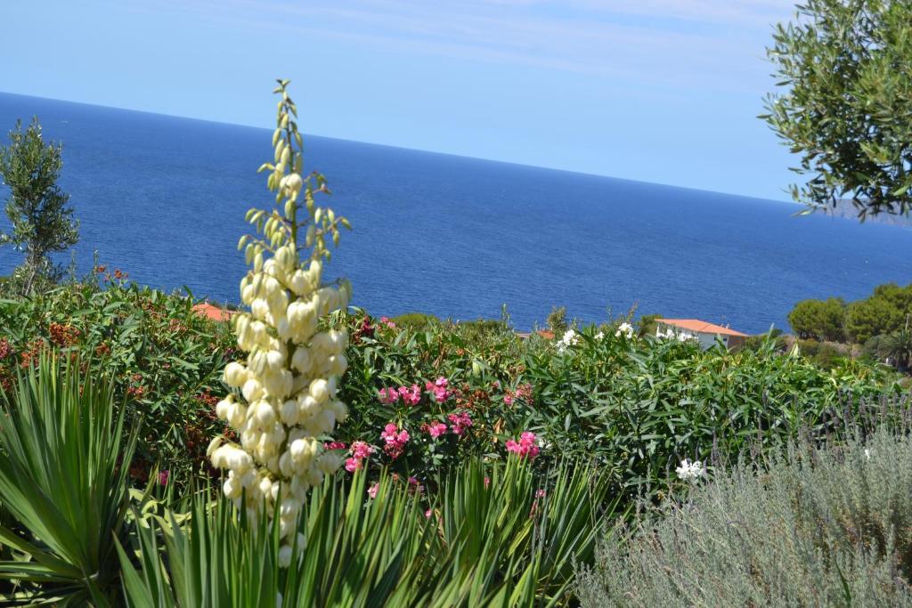 Villa Pischinas Magomadas Exteriér fotografie